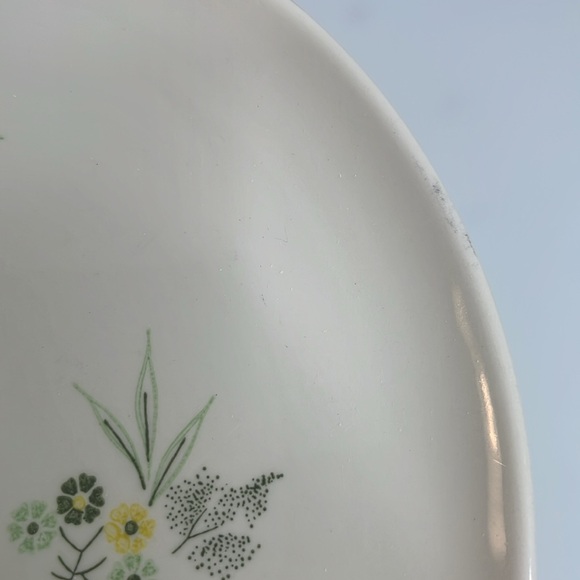 Taylor Smith Colorcraft Floral Plate - Picture 4 of 8